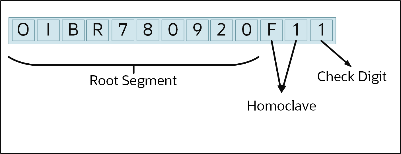 Mexico RFC Example
