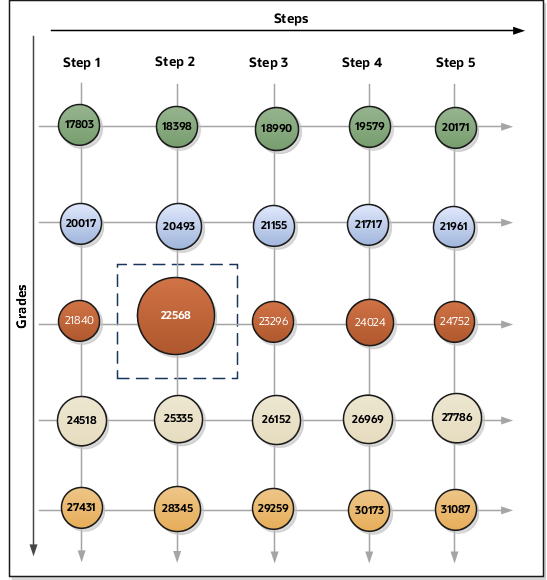 The figure shows the annual salary payments based on grades, grade ladder, and step details.