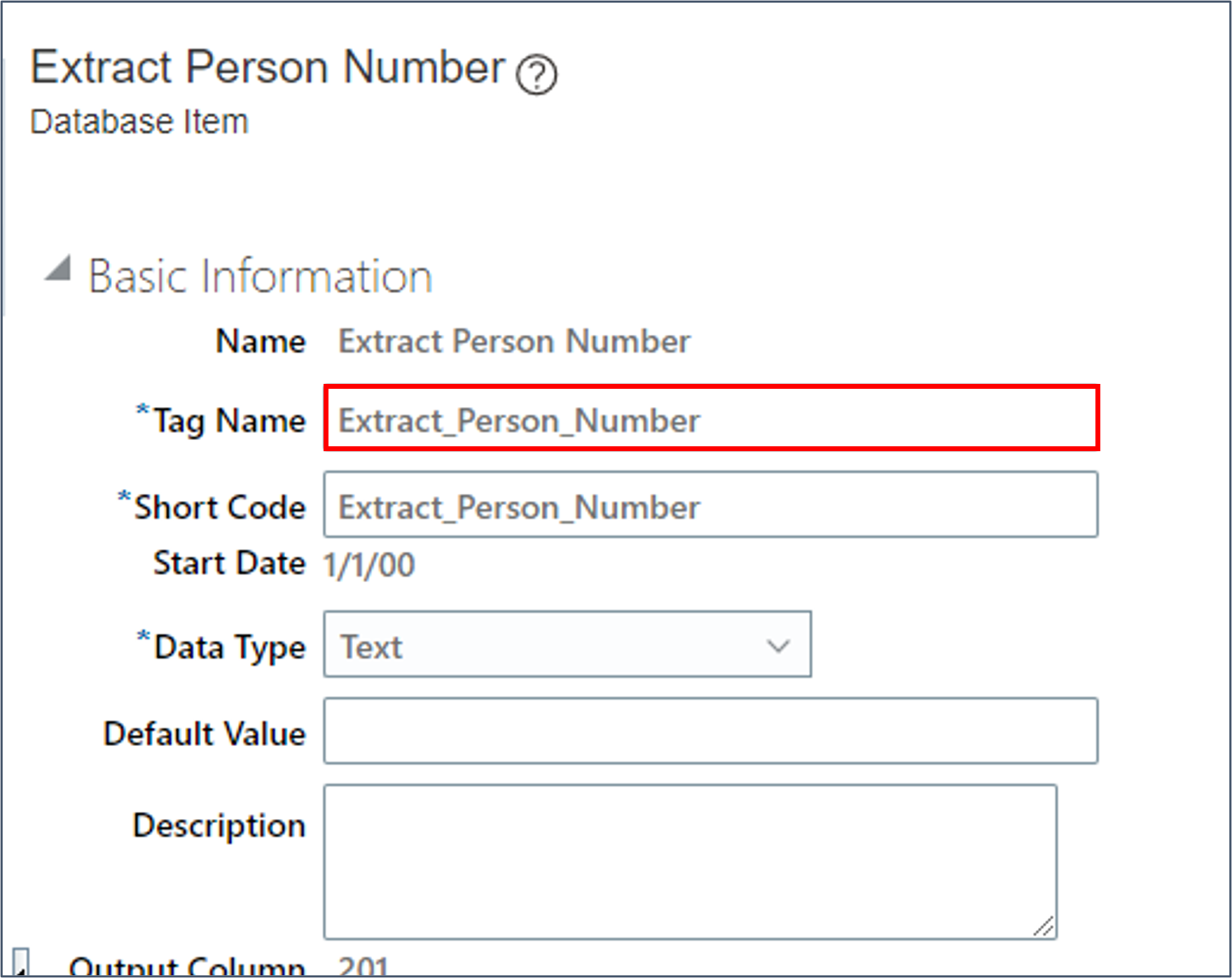 Review the tag defined for the Person record object.