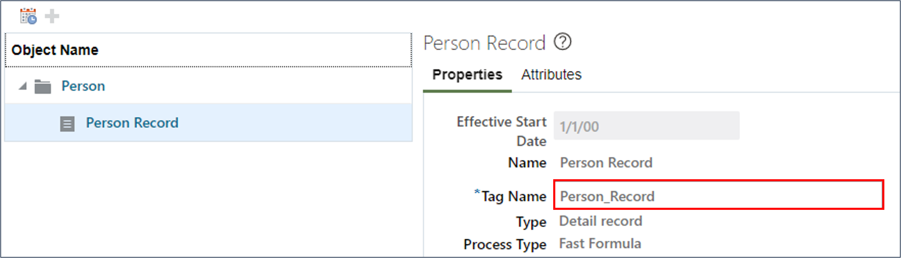 Review the tag defined for the Person record object.