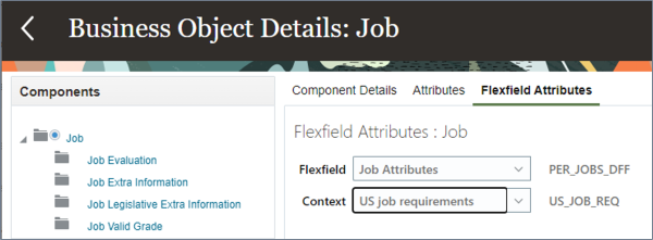 Flexfield Attributes tab