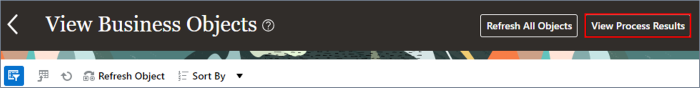 Click the View Process Results button.