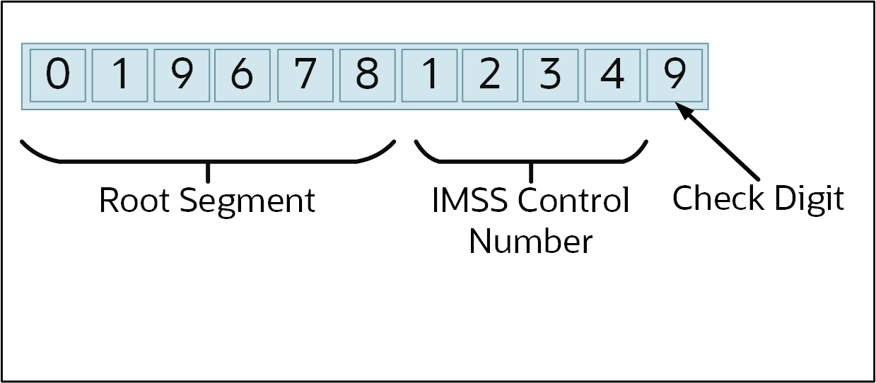 Mexico IMSS Example