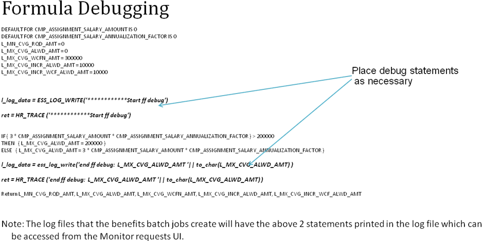 Using Debug statements in formula