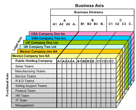 This figure illustrates a grid with Business Axis, representing the enterprise division, Legal Axis representing the companies, and the Functional Axis representing the business functions.