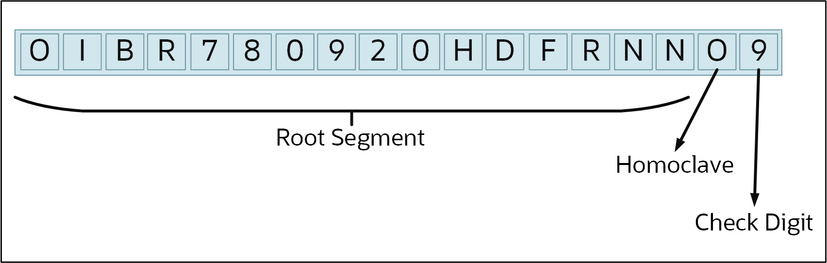 Mexico CURP Example