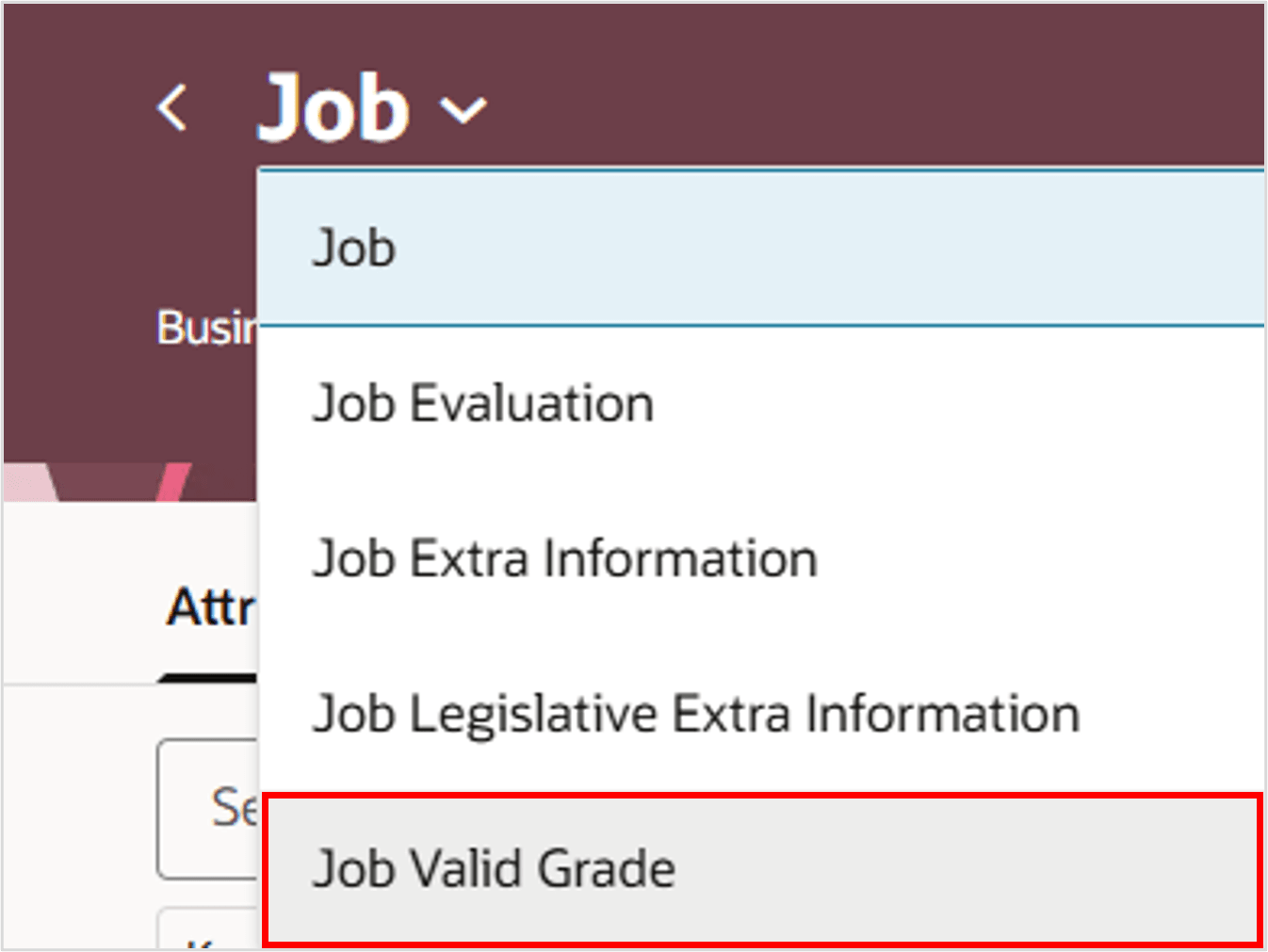 Review the attribute details of Job Valid Grade