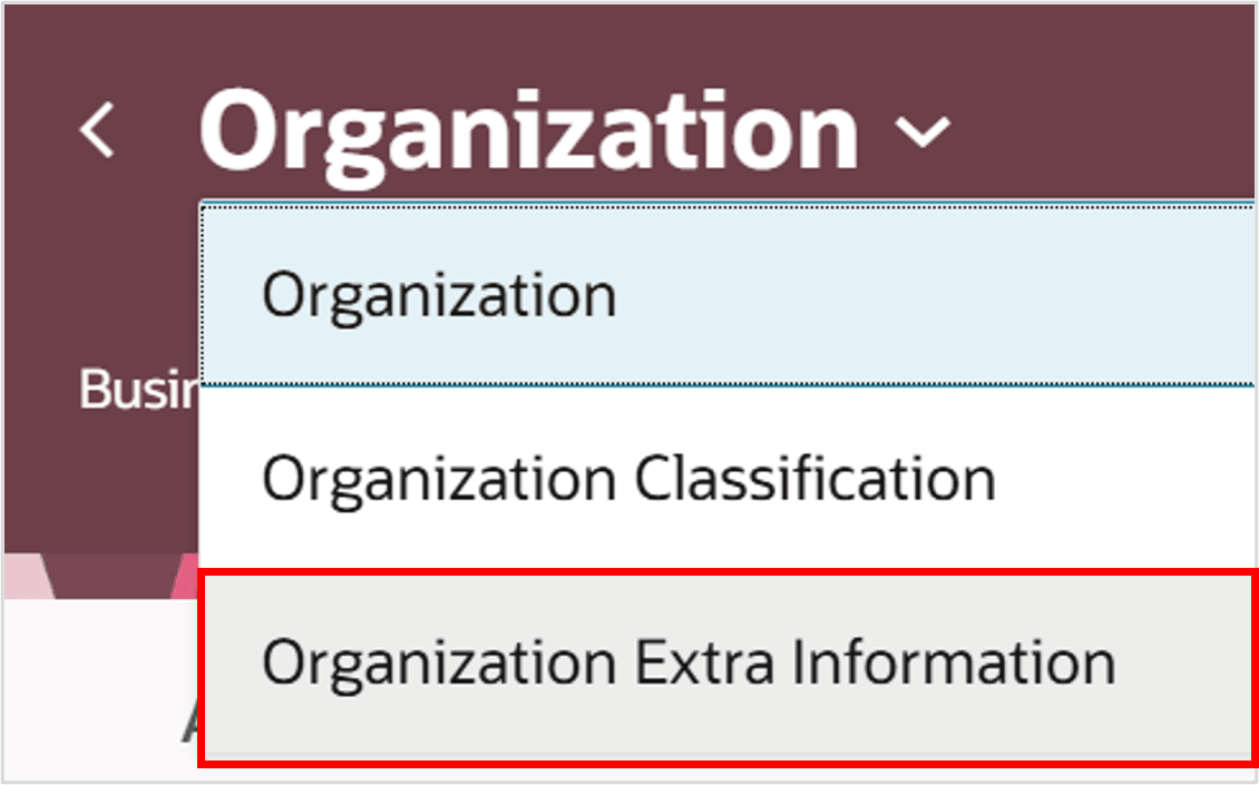 Change the object in focus to Organization Extra Information
