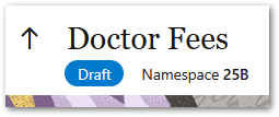 The project header in a decision service project in Intelligent Advisor Hub showing the namespace it is included in