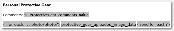 Form template showing fields for an entity image group