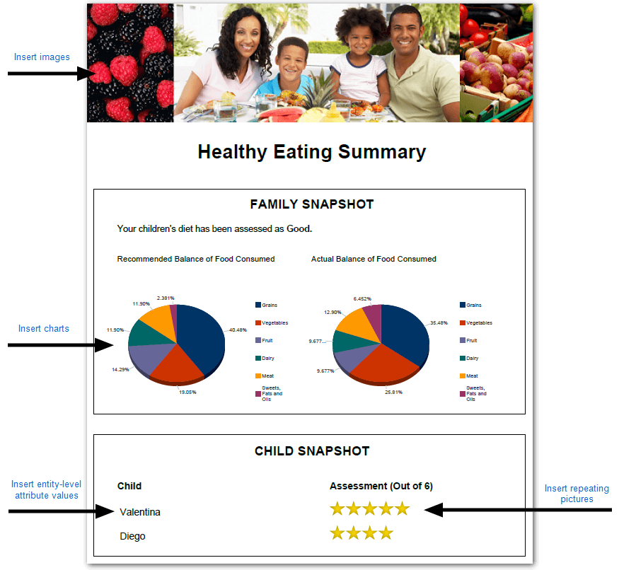 An interview summary document form showing the inclusion of images, charts, entity-level attribute values and repeating pictures
