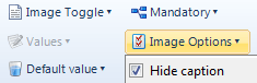 The Image Options window in Policy Modeling showing the selection of the Hide Caption checkbox