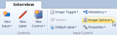The Image Options button on the Interview tab in Policy Modeling