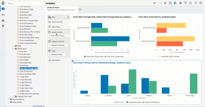 Screen shot of Audience Insights reporting