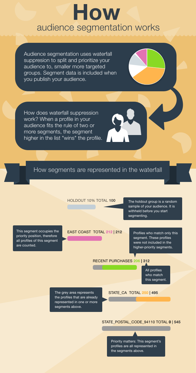Infographic explaining how audience segmentation works