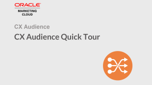 Thumbnail image for CX Audience Quick Tour video