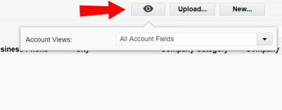 The All Account Fields account view