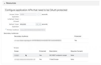 A screenshot showing how to configure application APIs that need to be OAuth protected
