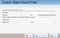 An image of the Custom Object Record Field dialog box.