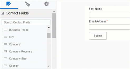 A gif of adding contact fields to the form canvas.