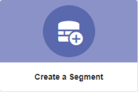 An image showing the Create a Segment button