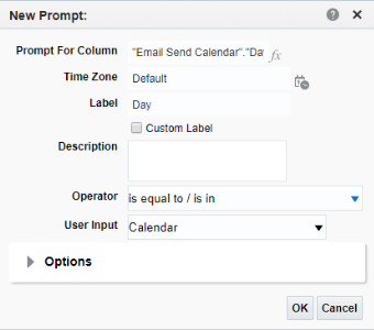 This image shows the New Prompts dialog for the Email Send Date column