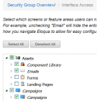 An image of the Interface Access page.