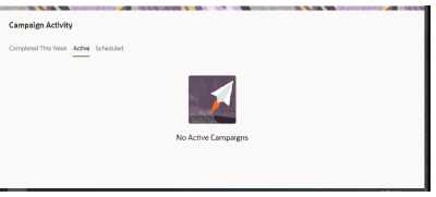 An image of the Campaign Activity page with the Active tab selected.