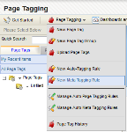 An image of the Page Tagging dropdown menu with New Meta Tagging Rule highlighted.