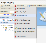 An image of the Page Tagging menu with Upload Page Tags highlighted.
