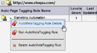 An image of a dropdown menu with AutoTagging Rule Details.