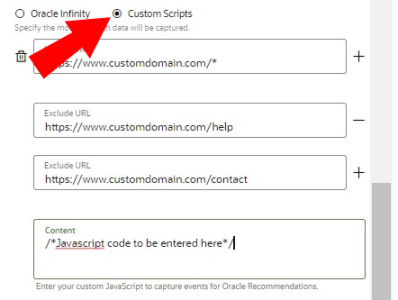 An image of the Custom Scripts option