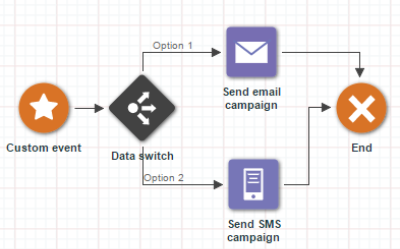 Screen shot of Program canvas in Responsys