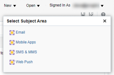 Screenshot showing available subject areas for selection when creating a custom report