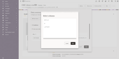 An image showing an example of the personalization attributes pulled from Unity to Responsys