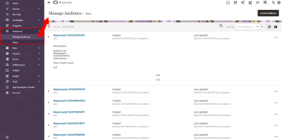 How to get to Manage Audiences In Responsys
