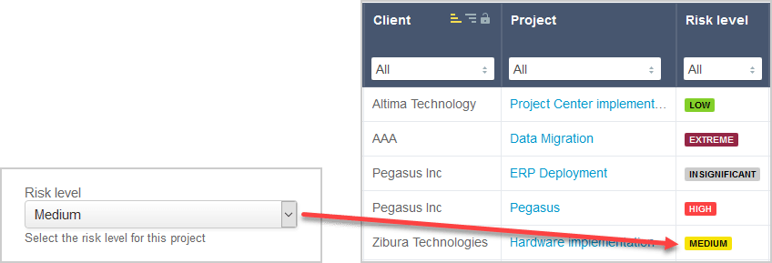 Example of tag custom field.