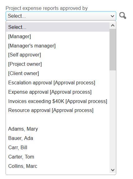 Example of approval dropdown field.