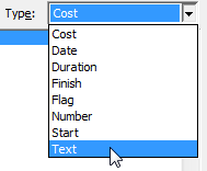 custom field type dropdown options in Microsoft Project.