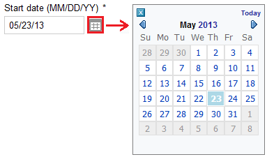 Example of date custom field with date picker.