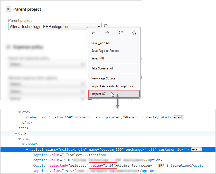 Project pick list custom field value format