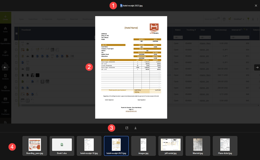 Attachment Viewer