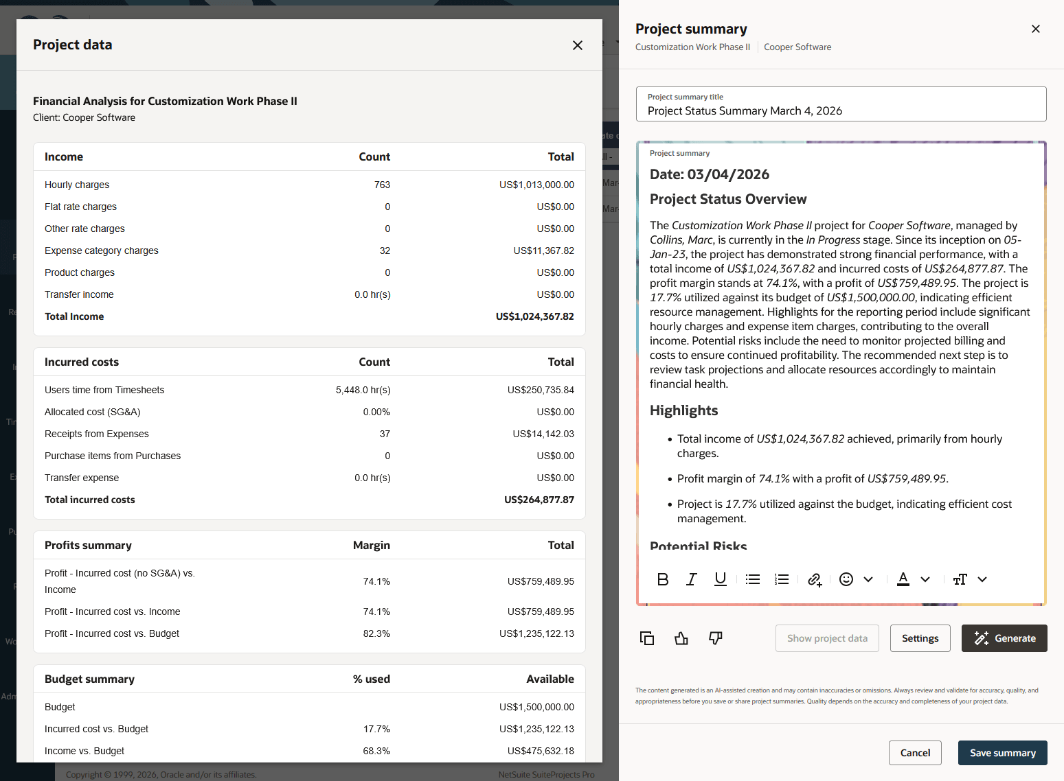 Generated project summary and input project data side by side.