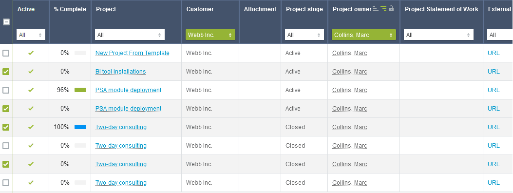 Projects list view with selected rows highlighted.