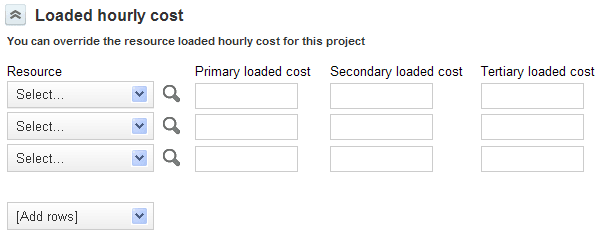 Loaded hourly cost selection on the Project properties form.