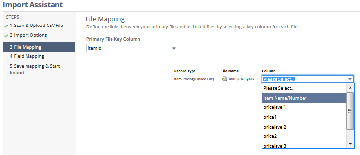 The Import Assistant page with Step 3 File Mapping selected.