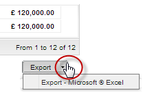 Screenshot of the Export Microsoft Excel button
