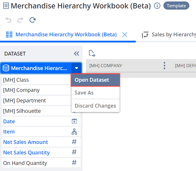Open Dataset Link in the Merchandise Hierarchy Workbook.
