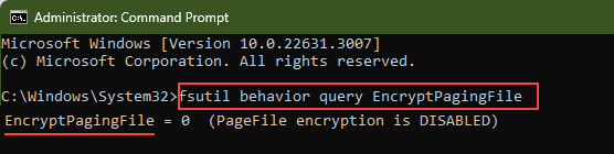 PageFile encryption status