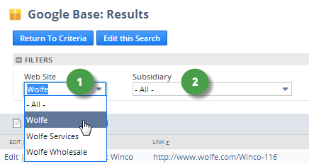 Shows the Website and Subsidiary filter fields in the NetSuite interface.